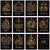 Pre-Order: 2027 Zodiac Gilded Constellation Collection – 12 Signs Written in the Stars